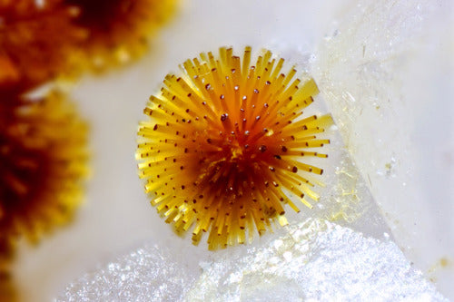 Some beautiful mineral specimens (up-down, left-right):
1.-...